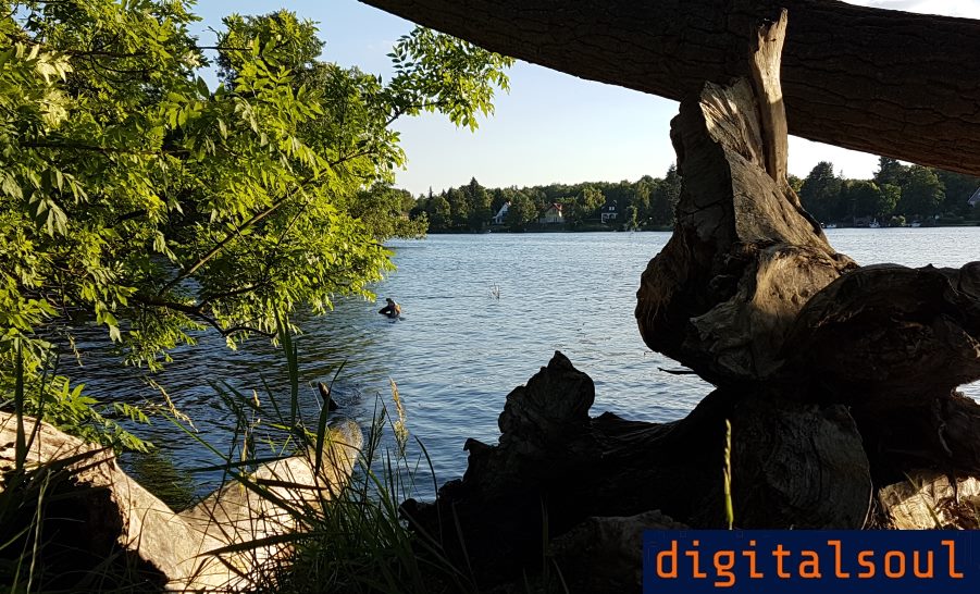 Webdesign Berlin Preise